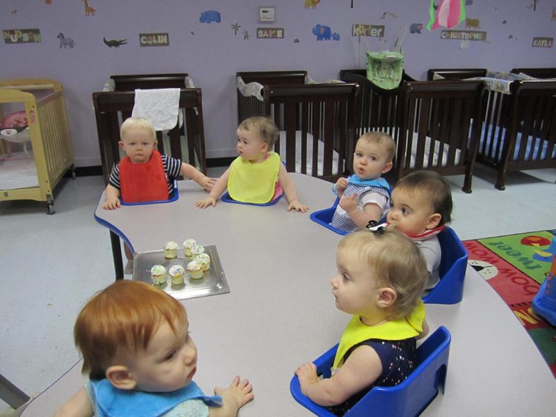 Infant Daycare Program Tiger Land Child Care Center